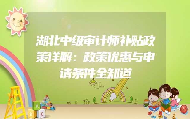 湖北中级审计师补贴政策详解：政策优惠与申请条件全知道