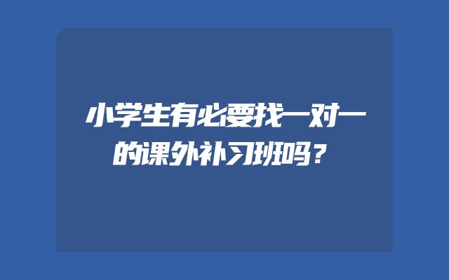 小学生有必要找一对一的课外补习班吗？