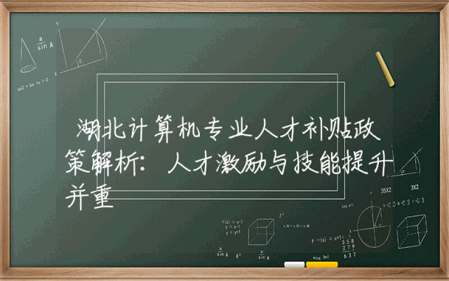 湖北计算机专业人才补贴政策解析：人才激励与技能提升并重