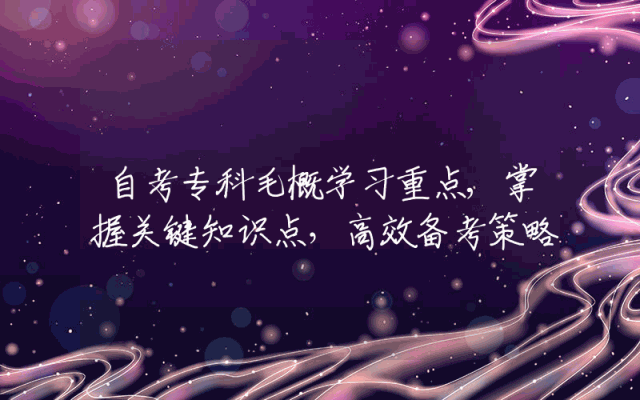 自考专科毛概学习重点,掌握关键知识点，高效备考策略