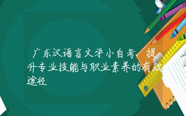 广东汉语言文学小自考,提升专业技能与职业素养的有效途径