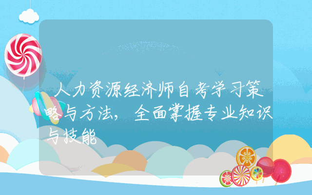 人力资源经济师自考学习策略与方法,全面掌握专业知识与技能