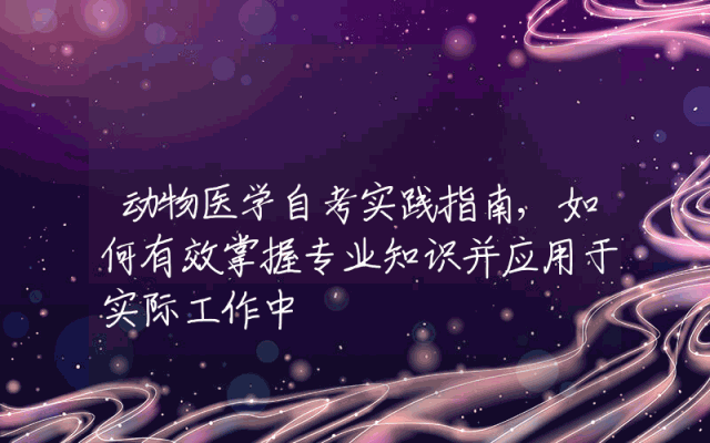 动物医学自考实践指南,如何有效掌握专业知识并应用于实际工作中