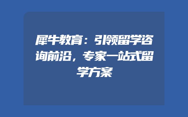 犀牛教育：引领留学咨询前沿，专家一站式留学方案