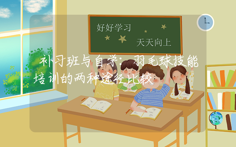 补习班与自学：羽毛球技能培训的两种途径比较